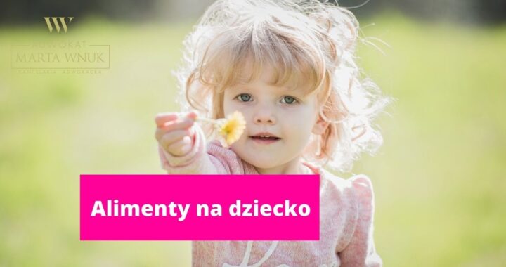 Alimenty na dziecko