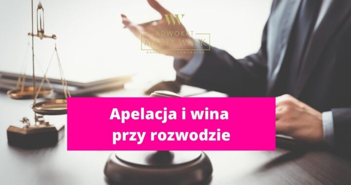 Apelacja i wina przy rozwodzie